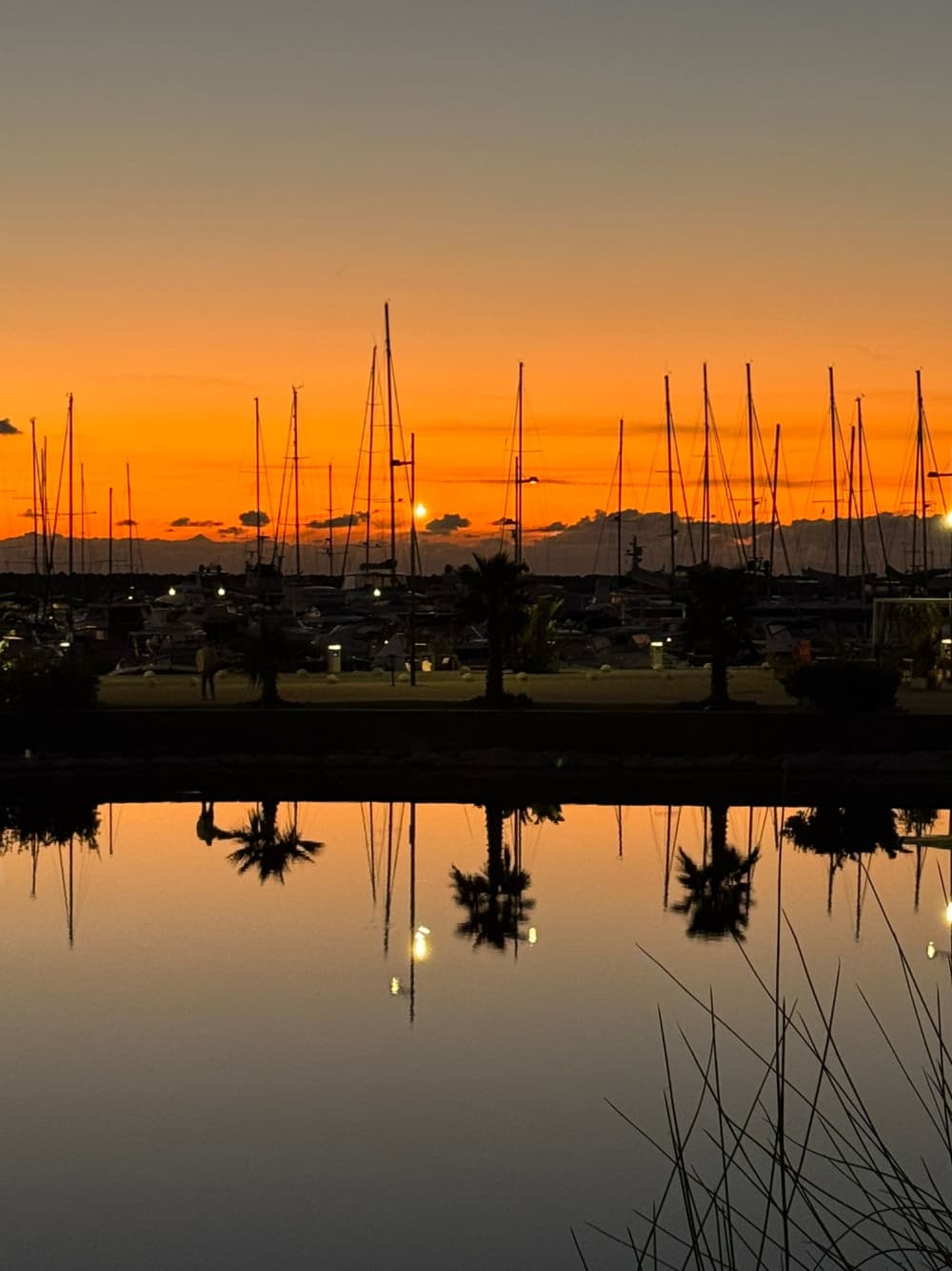 Aperitivo vespertino en la costa