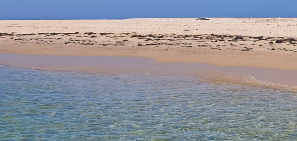 2h30 para descubrir Olhão en lancha motora