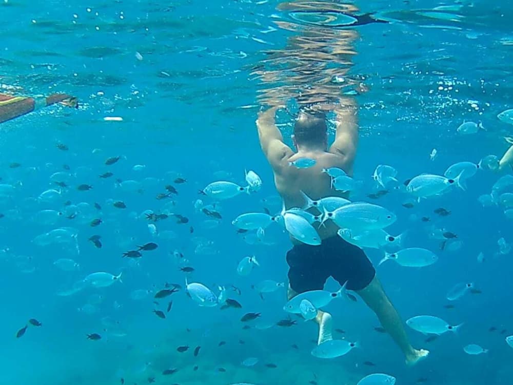 Een droomdag tussen Molara en Tavolara, het hart van Sardinië