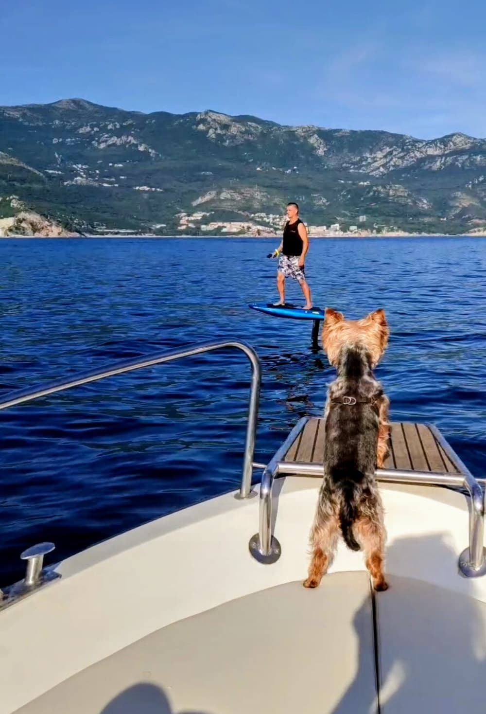Experience Budva like never before on a motorboat