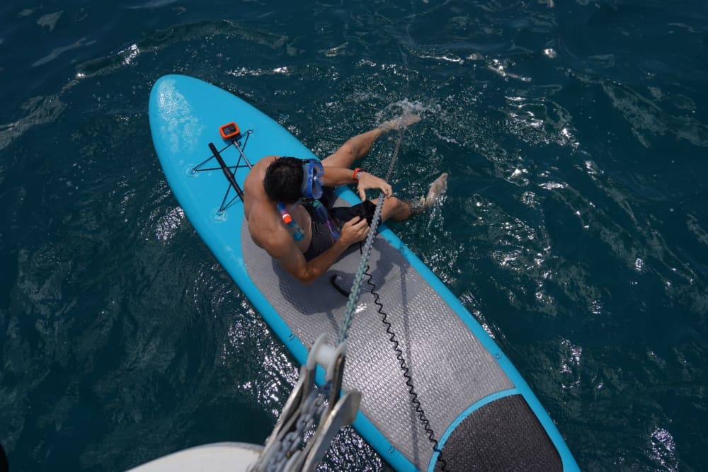 Discover Faros Kitrion: Hidden Beauty Near Kalamata