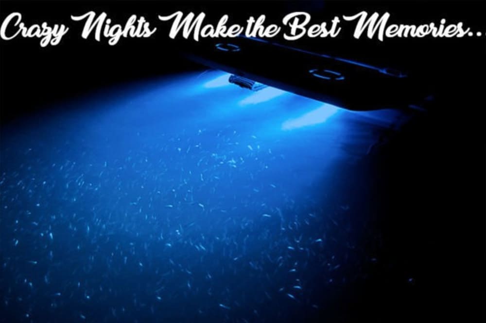 Dive into pristine waters: A full day around Korčula