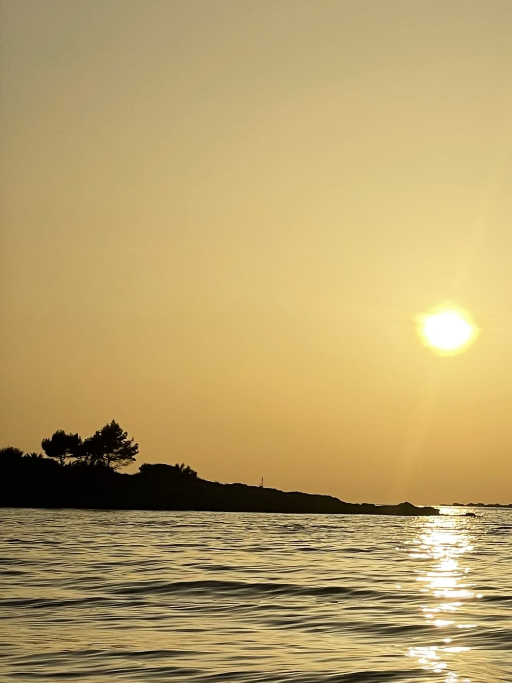 Crociera al tramonto e panoramica a Dubrovnik: un'ora di fuga nella natura