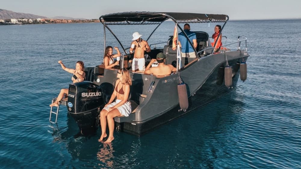 Excursion privée d'observation des dauphins et croisière côtière à Estepona