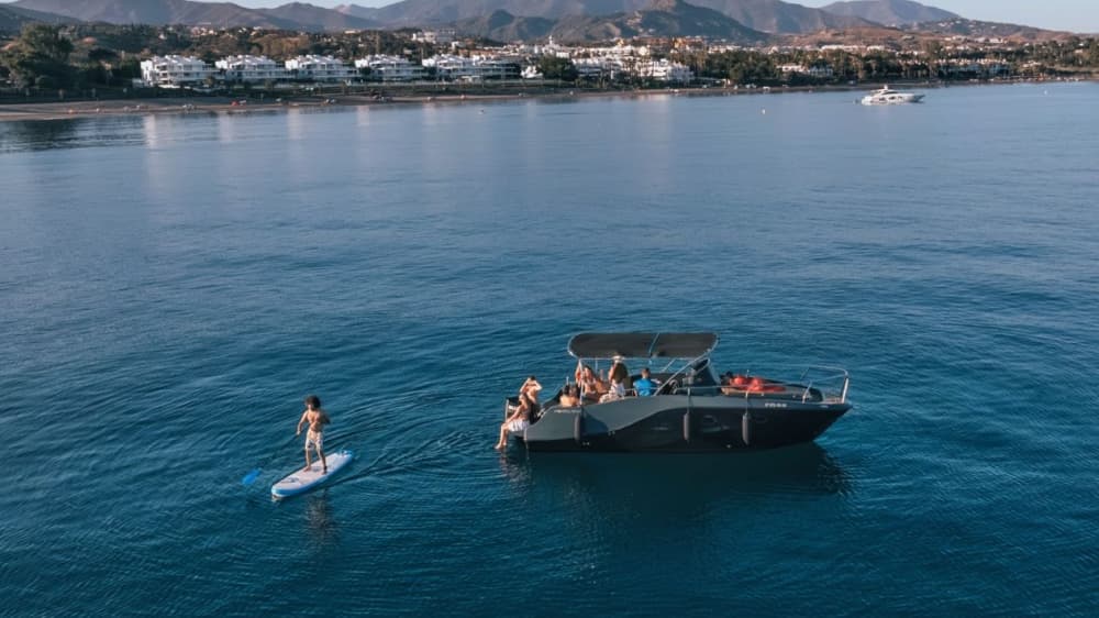 Excursion privée d'observation des dauphins et croisière côtière à Estepona