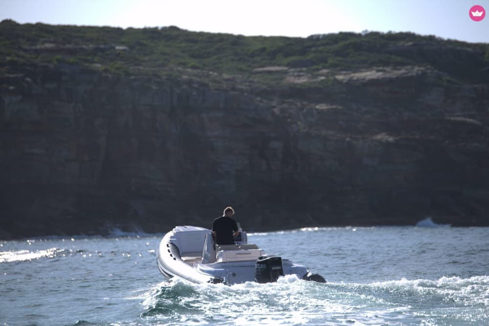 Odkryj Algarve inaczej – 3 godziny czystej radości na morzu