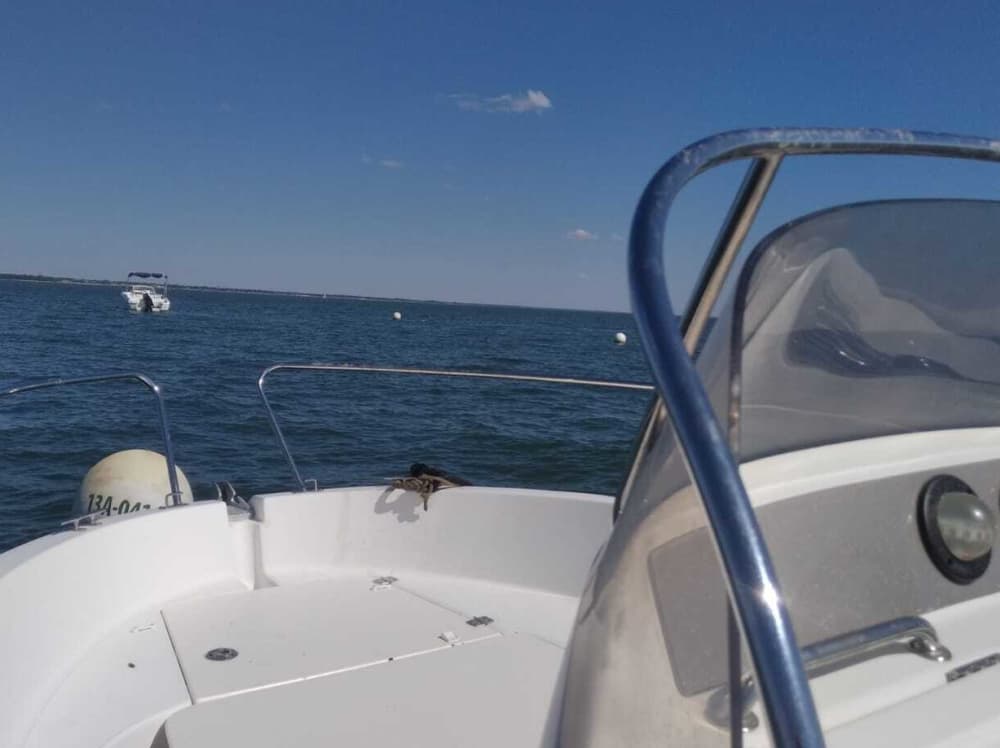 Excursion privée en bateau à moteur autour de Lège-Cap-Ferret