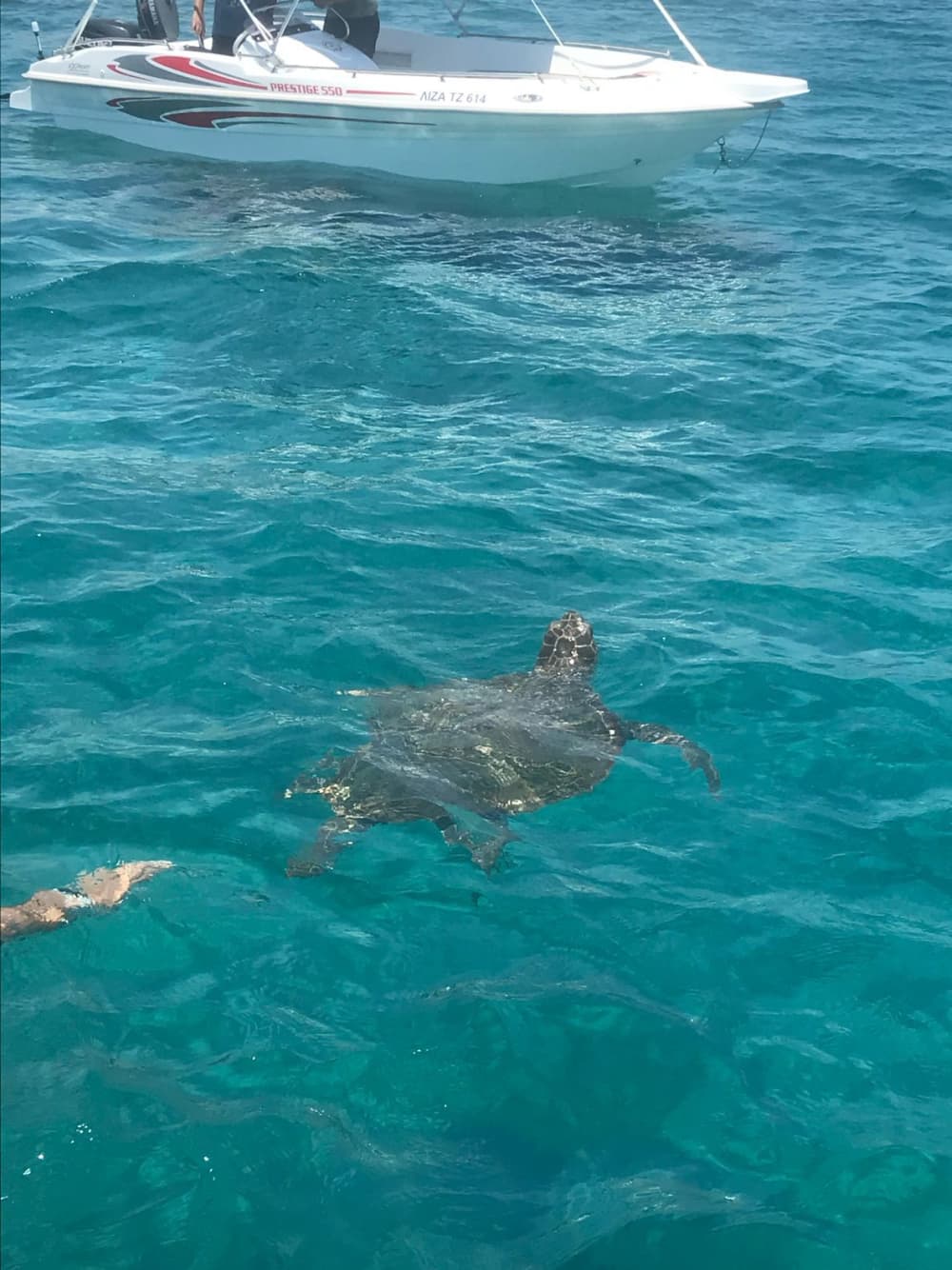 Be Your Own Captain: Self-Drive Boat Adventure from Alykes & Alykanas to the Shipwreck Beach”