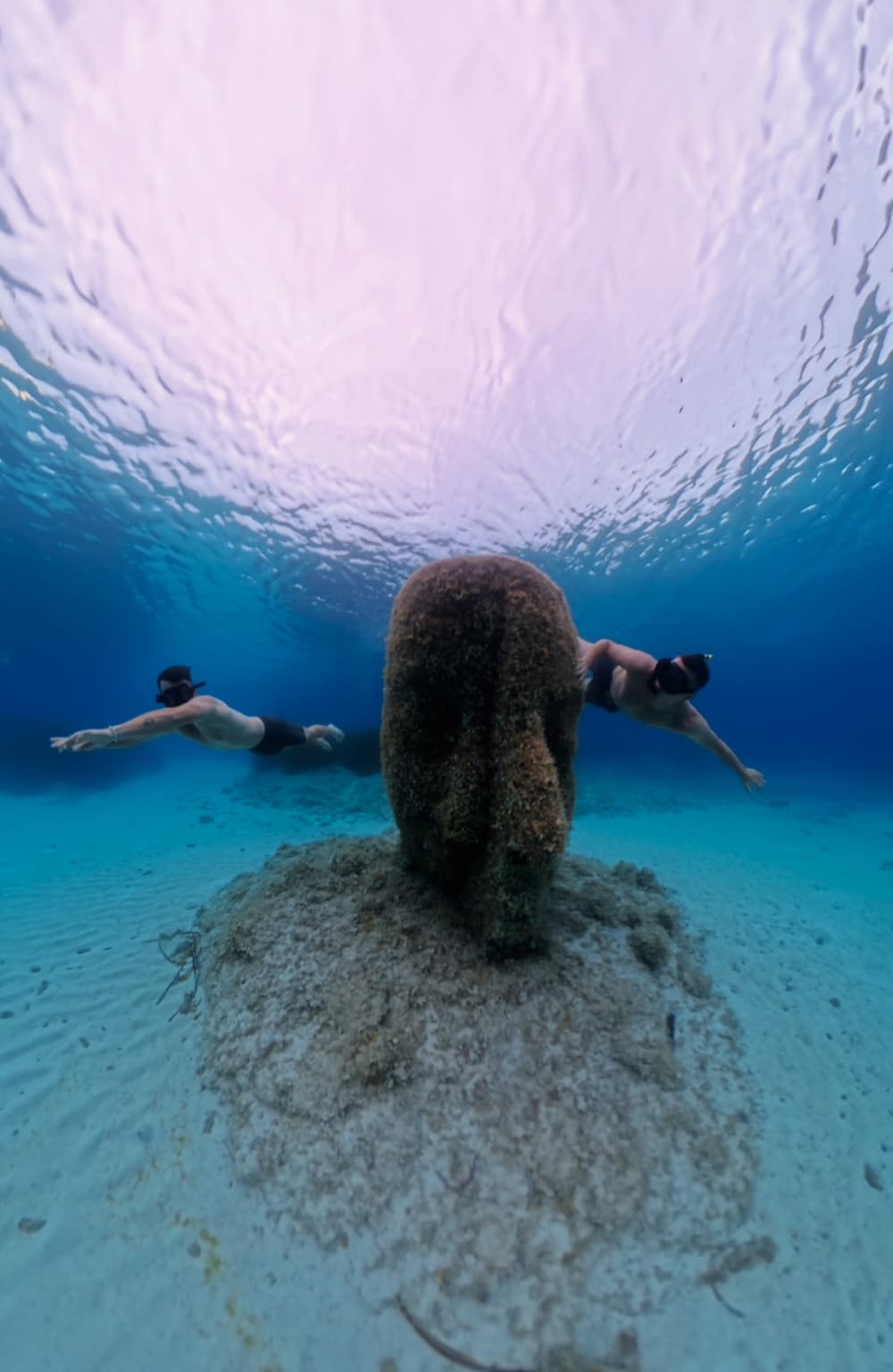 ☀️🏝️Halbtagesausflug in die ruhigen Gewässer der Lérins-Inseln, maximal 6 Passagiere.🏝️ Option Sonnenuntergang ☀️