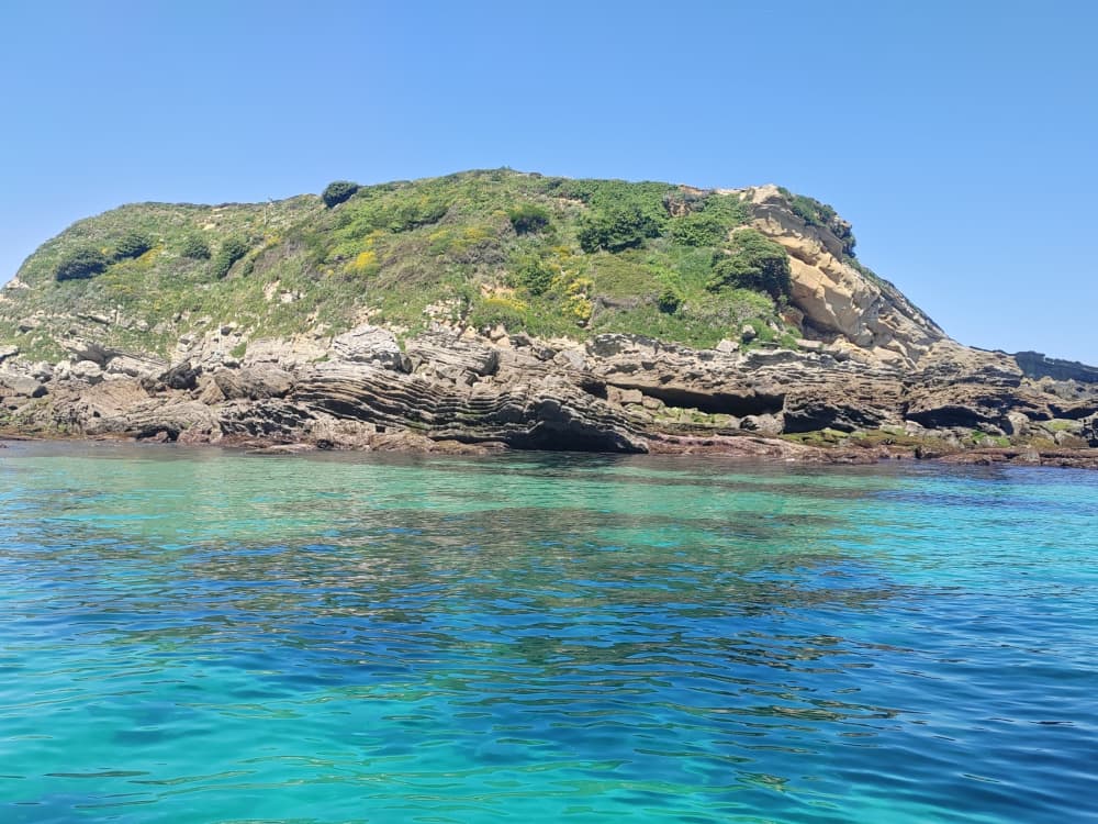 Détendez-vous lors d'une excursion en bateau de 3h30 à Hondarribia