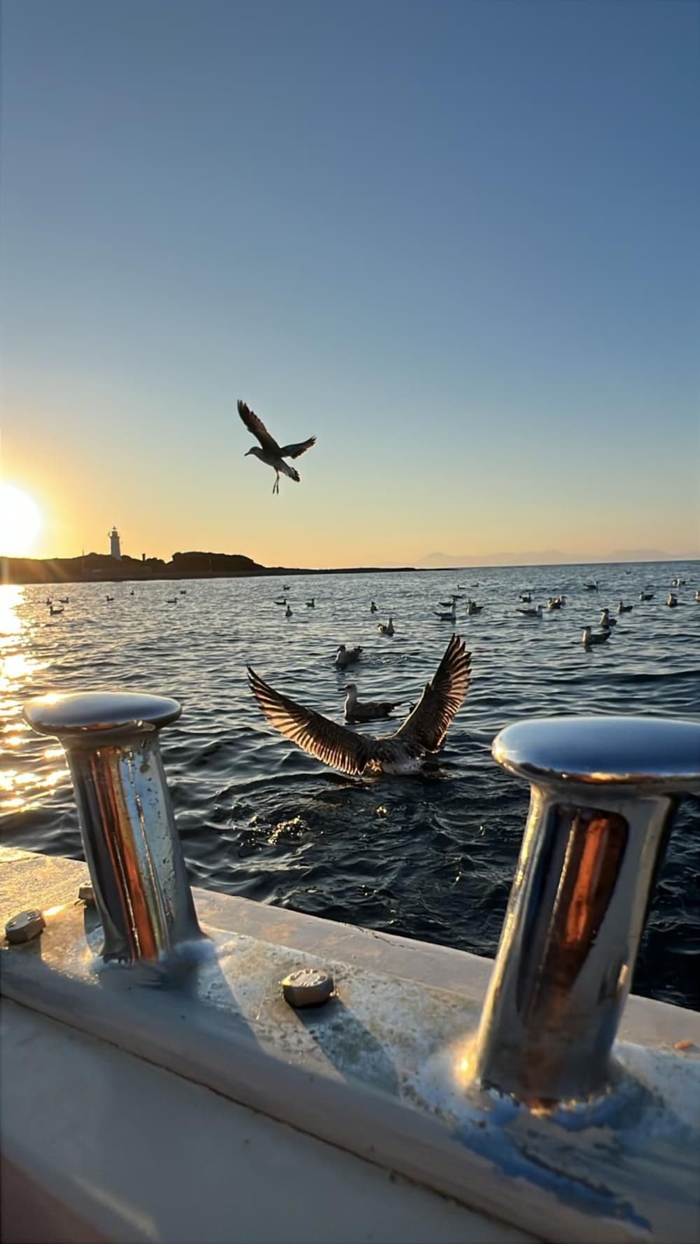 Aperitivo al Tramonto a Punta Licosa