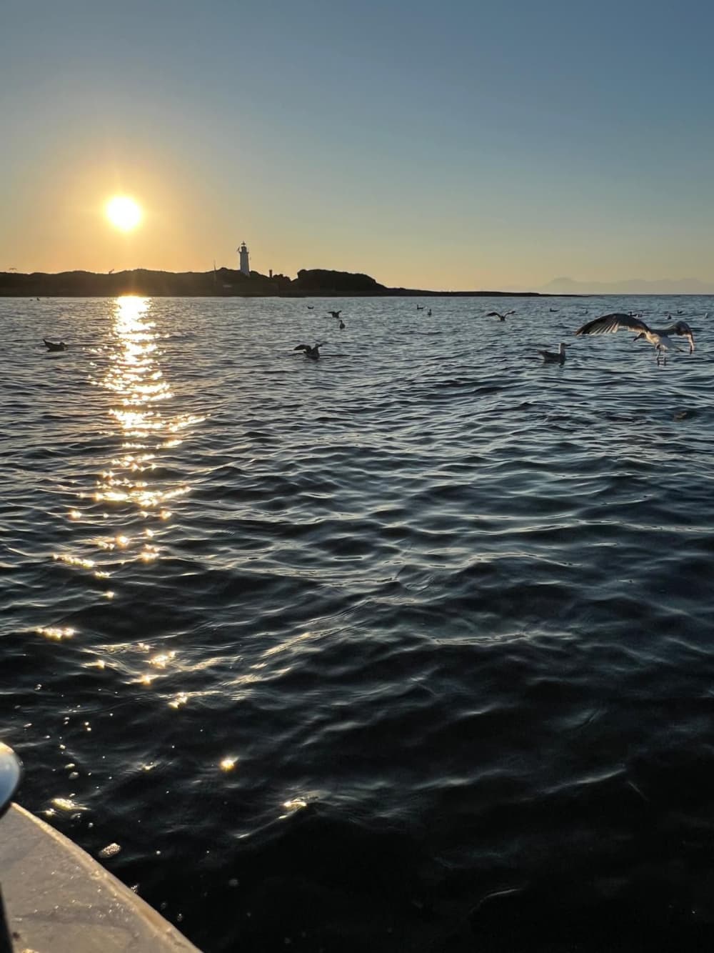 Aperitivo al Tramonto a Punta Licosa