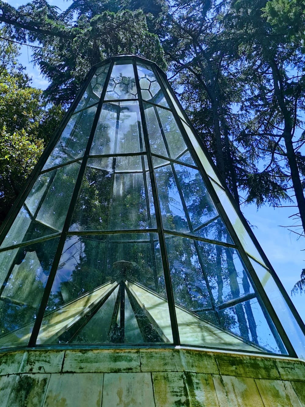 Escursione di un giorno intero al Parco nazionale di Brioni: esplora, nuota e scopri
