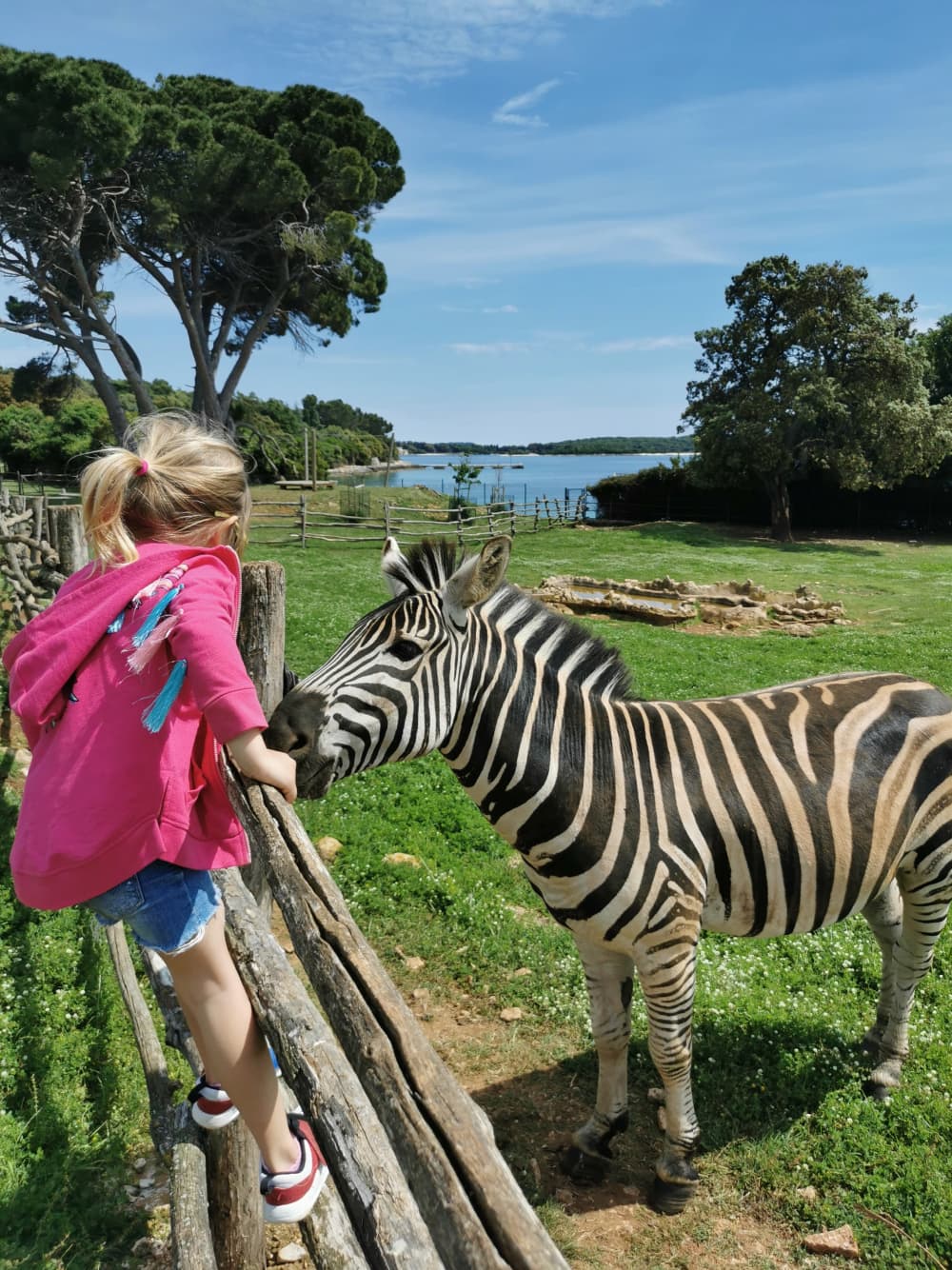 Escursione di un giorno intero al Parco nazionale di Brioni: esplora, nuota e scopri
