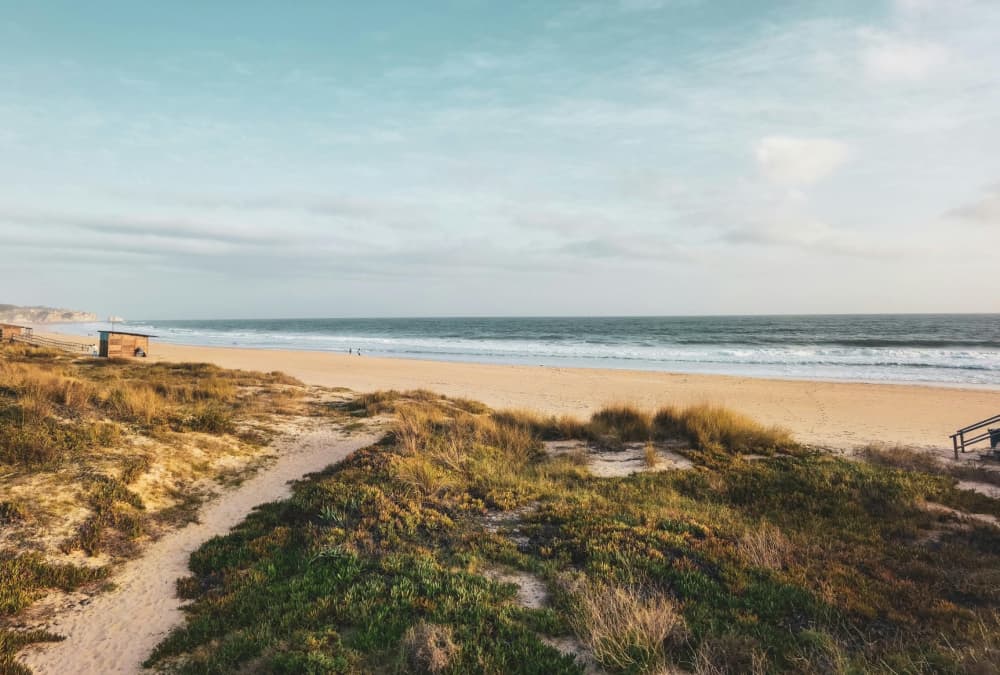 Morgen- oder Nachmittagskreuzfahrt 3 Stunden