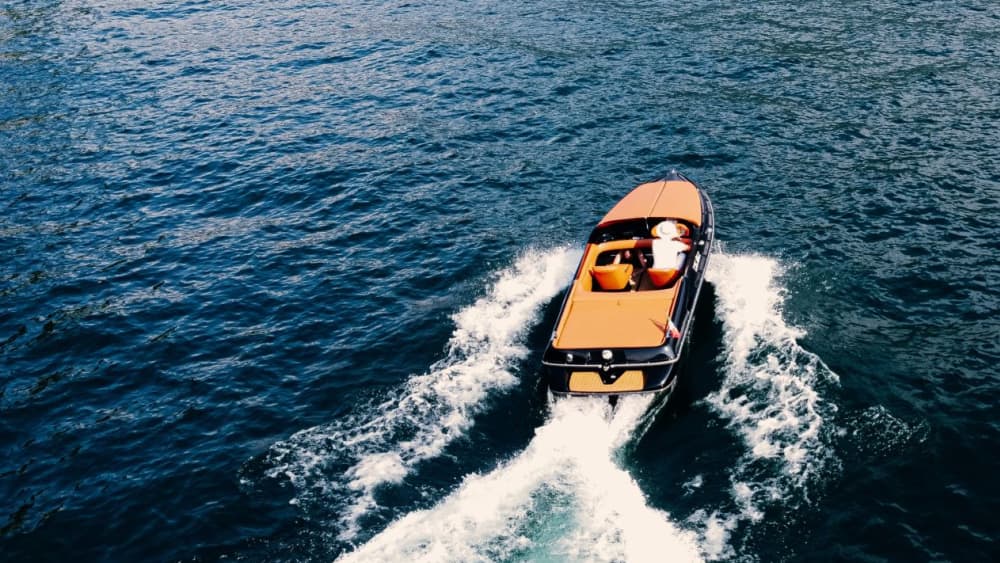 Comer See wie ein Star: Eine ganztägige klassische Bootstour