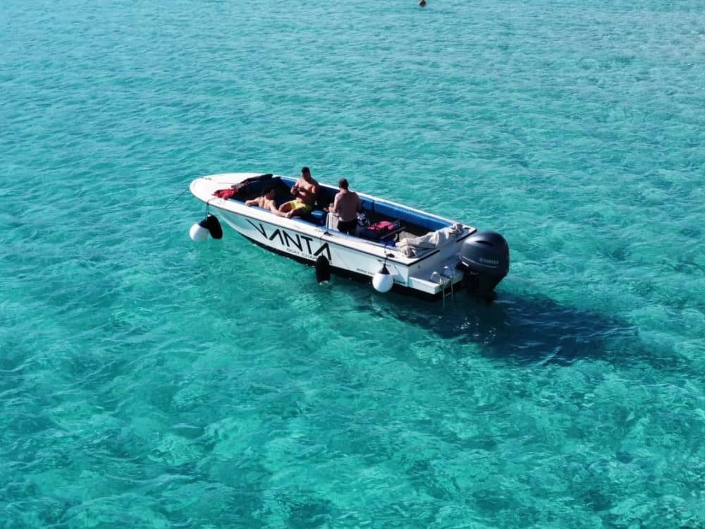 Scopri la baia di Saint Paul a bordo di un motoscafo per 9 ore.