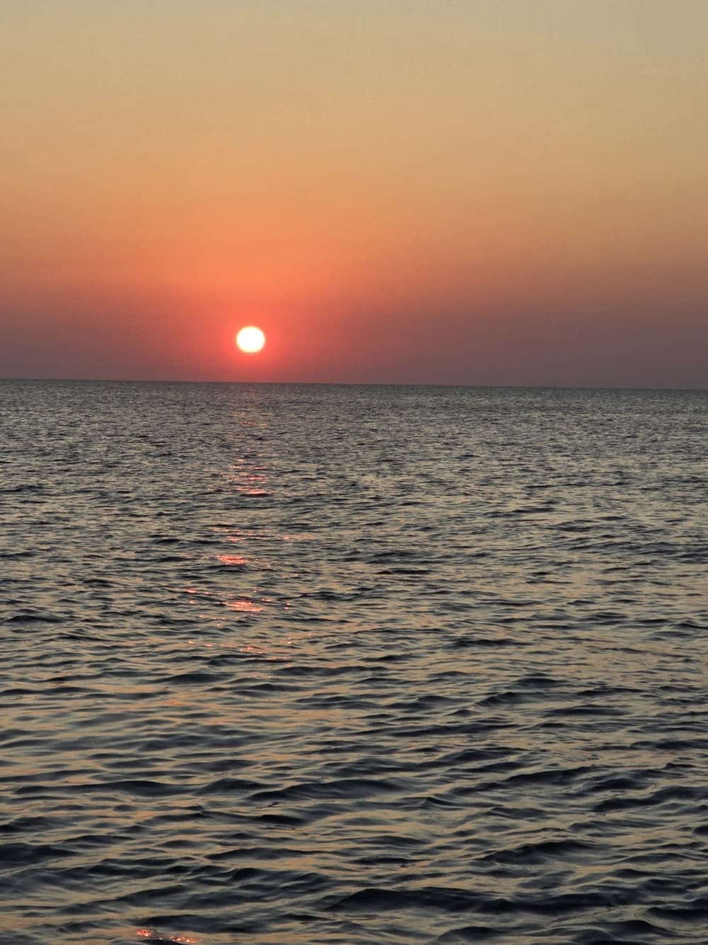 4 uur zonneschijn rond Palermo op een motorboot