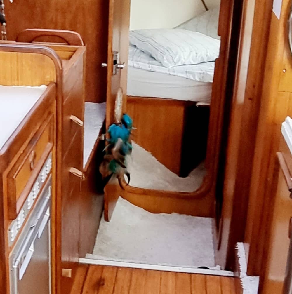 Sailing trip around Saint-Jean-Cap-Ferrat