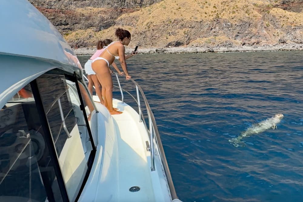 Experiência de Descoberta e Relaxamento no Oceano – 4 Horas