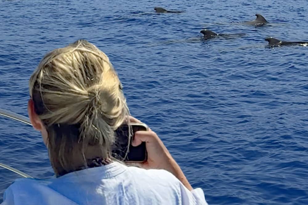 Experiência de Descoberta e Relaxamento no Oceano – 4 Horas