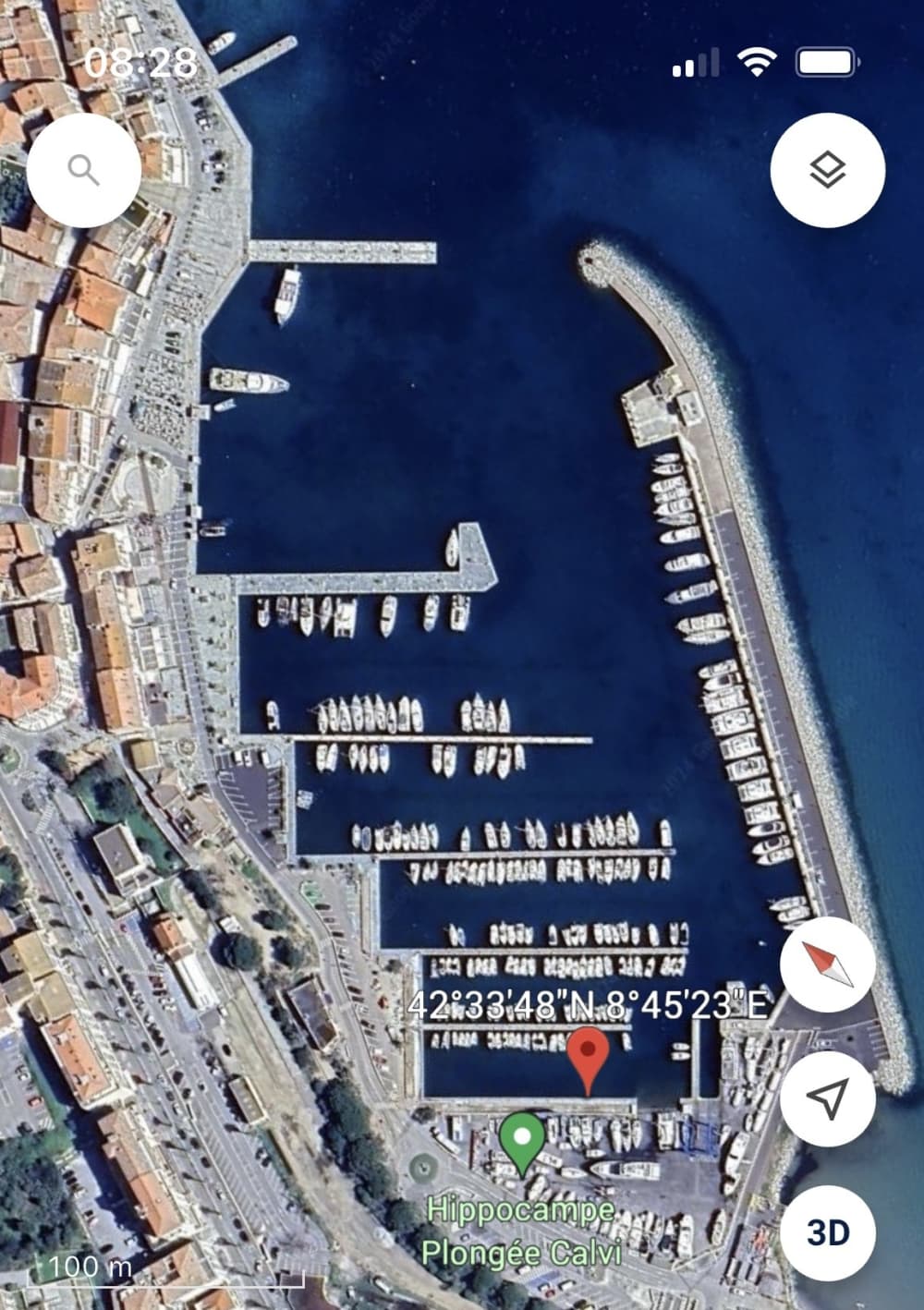 Życie dla fal: Półdniowy wypad do Calvi na pokładzie łodzi motorowej