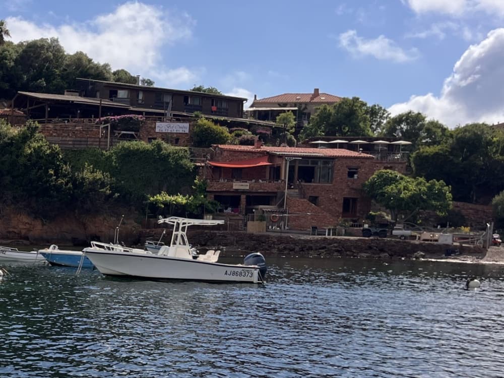 Życie dla fal: Półdniowy wypad do Calvi na pokładzie łodzi motorowej