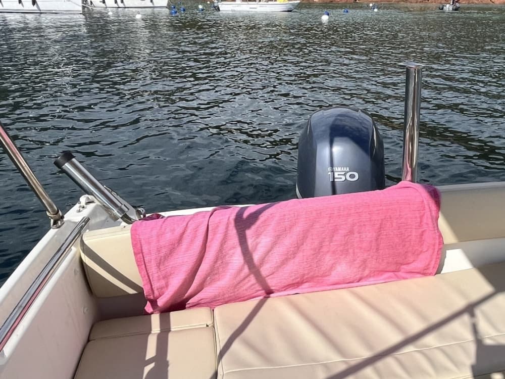 Życie dla fal: Półdniowy wypad do Calvi na pokładzie łodzi motorowej