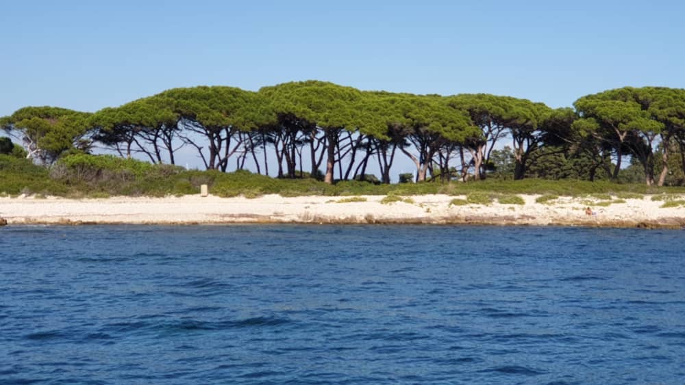 In Saint Tropez, a dream day in the Gulf of Saint-Tropez and its surroundings: Luxury, comfort and spectacular views