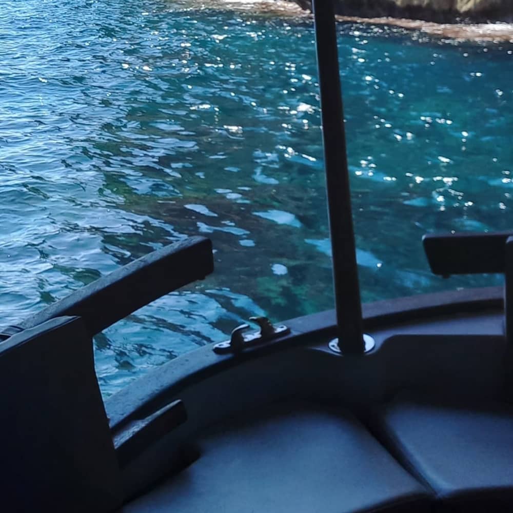 Reserve meio dia para relaxar em um passeio de lancha em Port d'Alcúdia.