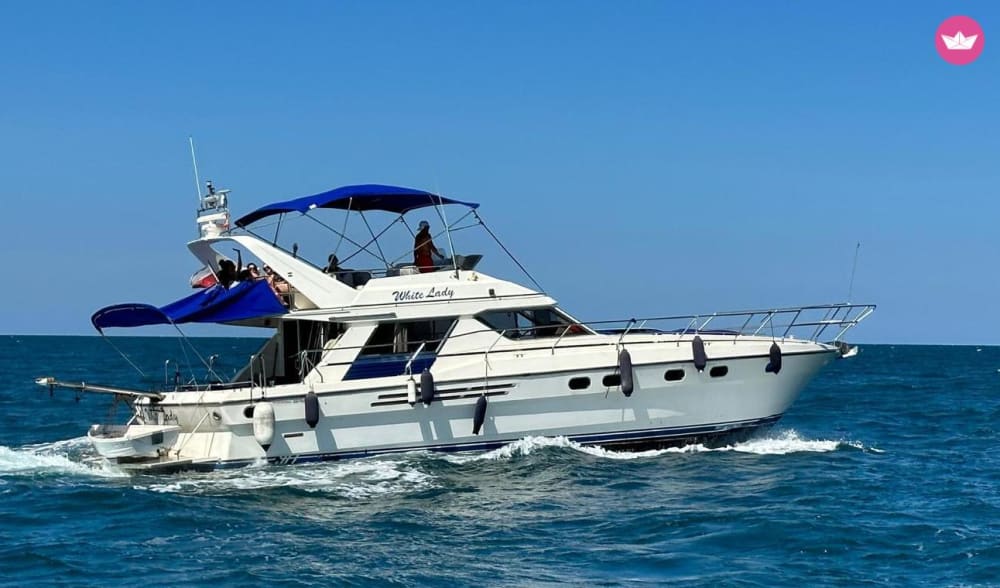 Fuga nel Mediterraneo: tour privato in barca di 4 ore da Valencia