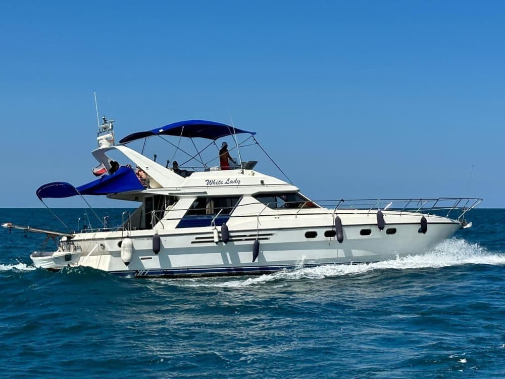 Fuga nel Mediterraneo: tour privato in barca di 4 ore da Valencia