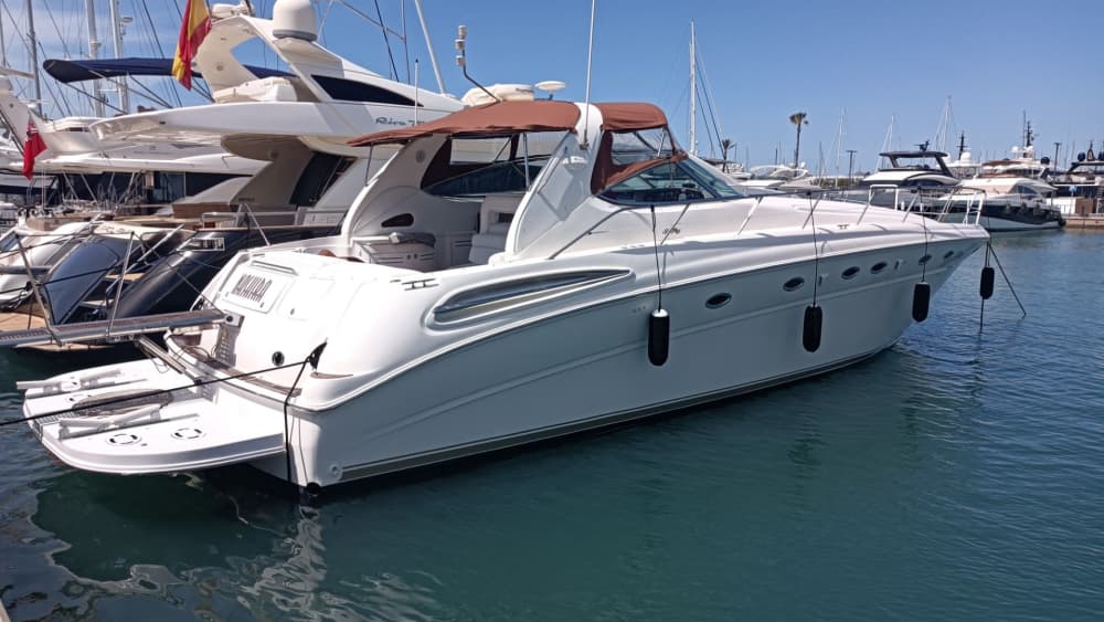 Exclusive coastal getaway from Port de Pollença – 4 hours