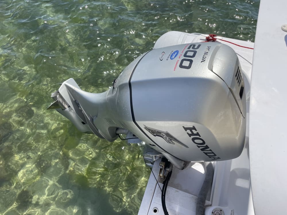 Profitez de 9h sur un bateau à moteur à Bénodet