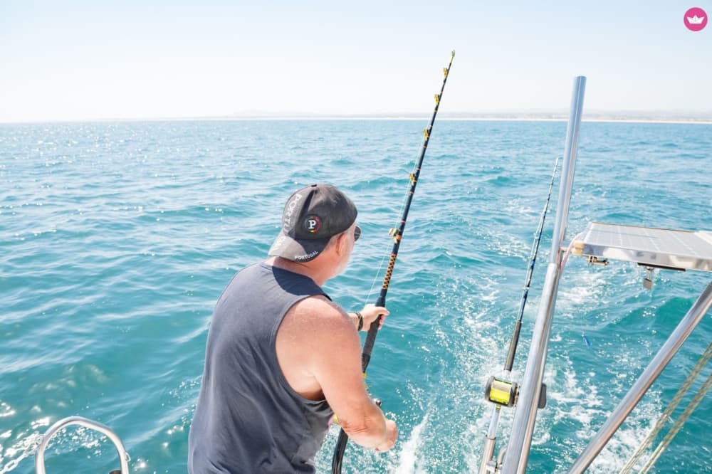 Mezza giornata di navigazione attraverso i paradisi segreti della Ria Formosa