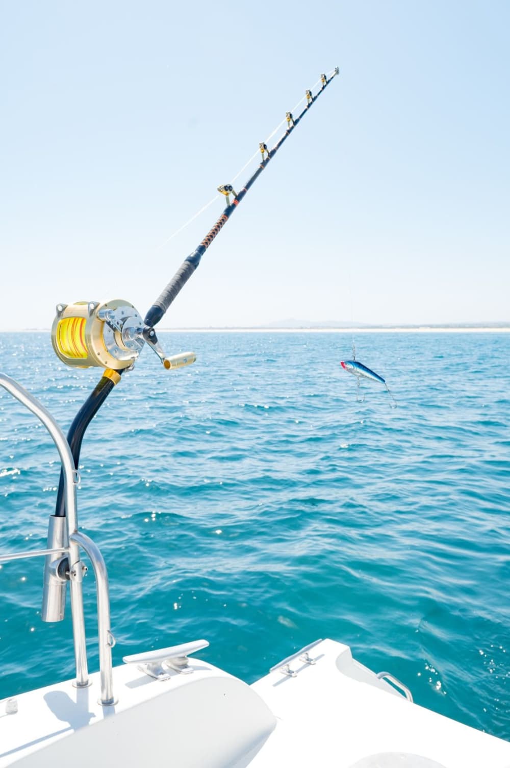 Mezza giornata di navigazione attraverso i paradisi segreti della Ria Formosa