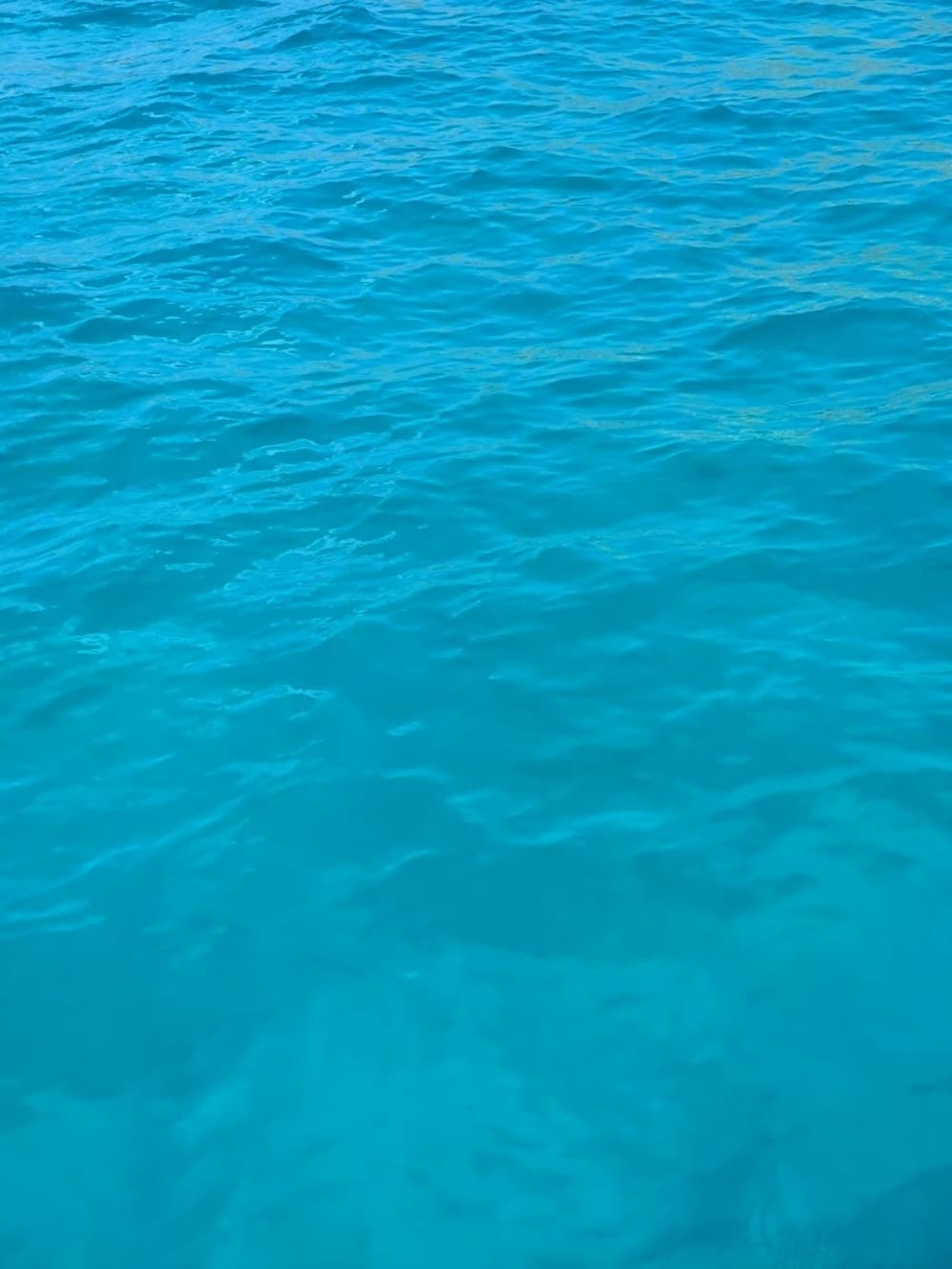 Ontdek Palermo tijdens een 7-uur durende boottocht op een motorboot.