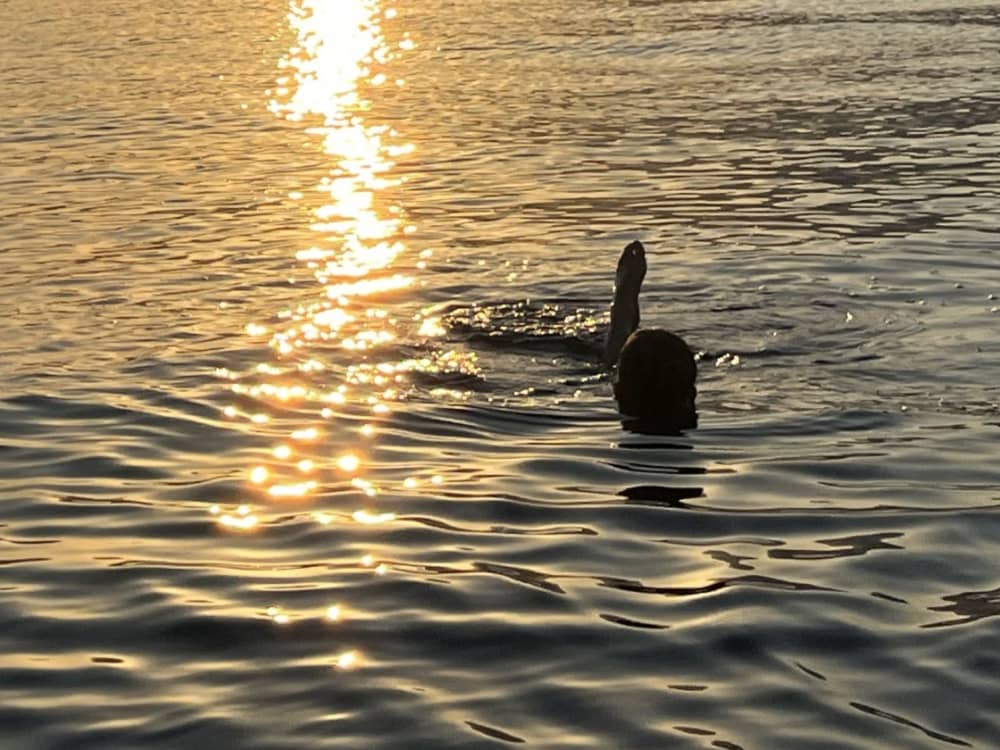 Отдохните в Ментоне: 8 часов солнца на парусной лодке.