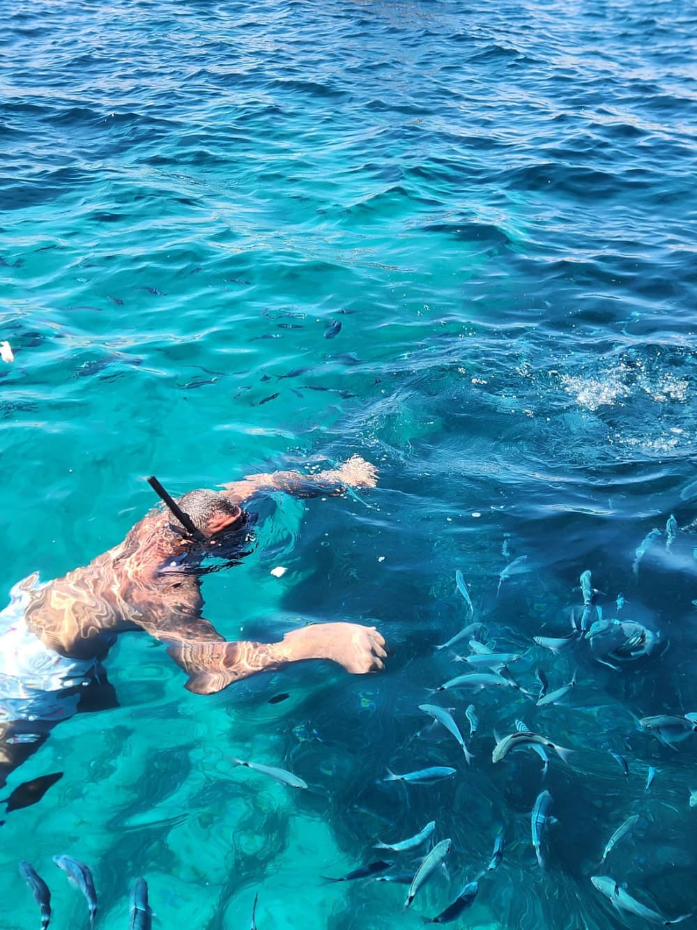 Highlights von Hvar: Private Bootstour zu den Pakleni-Inseln und den Roten Felsen