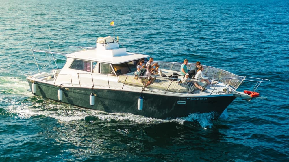 Spend 4h45 on the water in Estepona with sun and clear waters
