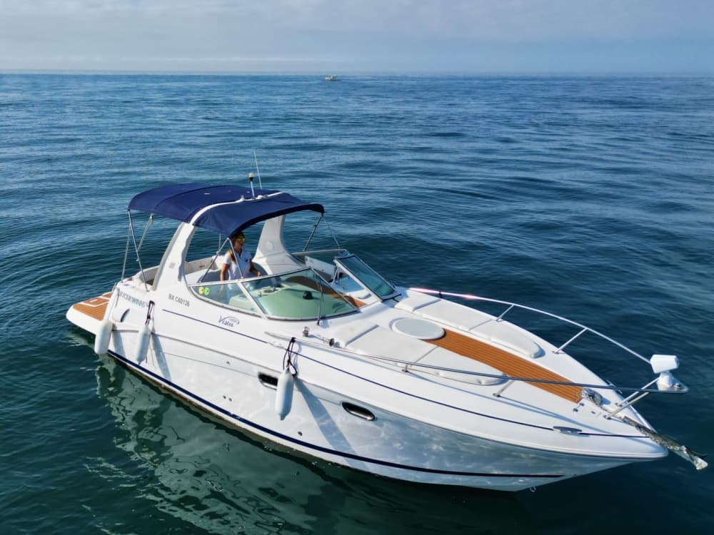 Exploración Náutica por la Costa de Marbella – 4 horas de calma y vida marina