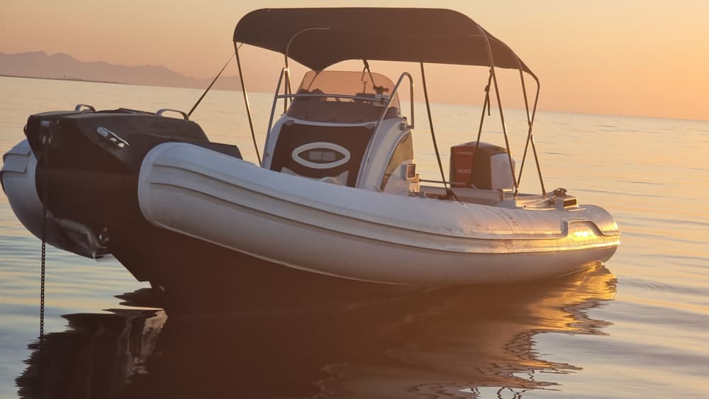 Verken Palermo vanaf het water: een hele dag op het water aan boord van een motorboot.