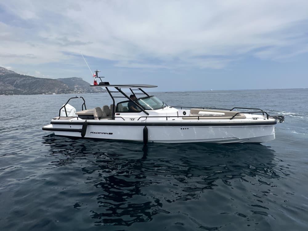 Sfrutta al massimo ogni momento: una giornata di sole intorno a Saint-Jean-Cap-Ferrat a bordo di un motoscafo.
