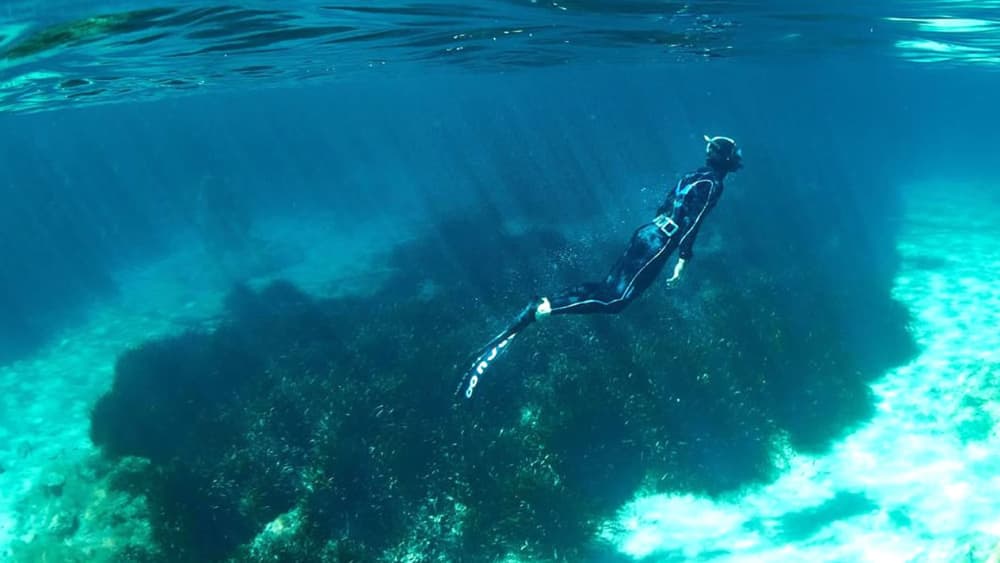 Coastal Exploration – Lérins, Eco-Museum & Wild Calanques