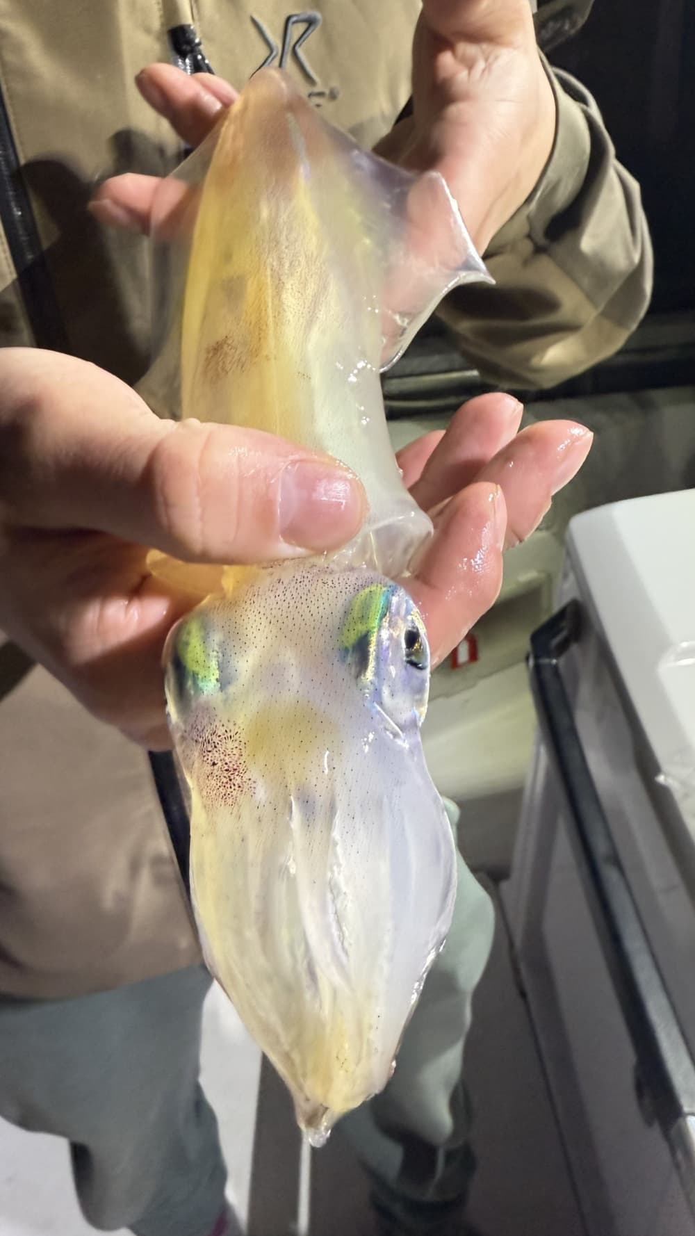 Aproveite cada momento: um dia inteiro de sol em Valletta a bordo de uma lancha.