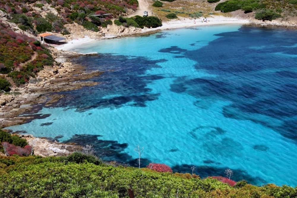 Scopri Pegli a bordo di una barca a vela per un'intera giornata.