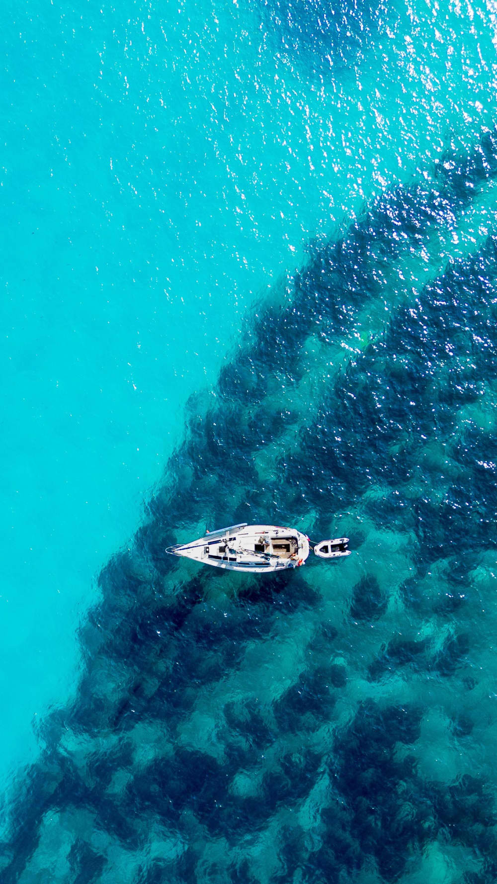 Desfrute de meio dia de vela em Sant Antoni de Portmany.