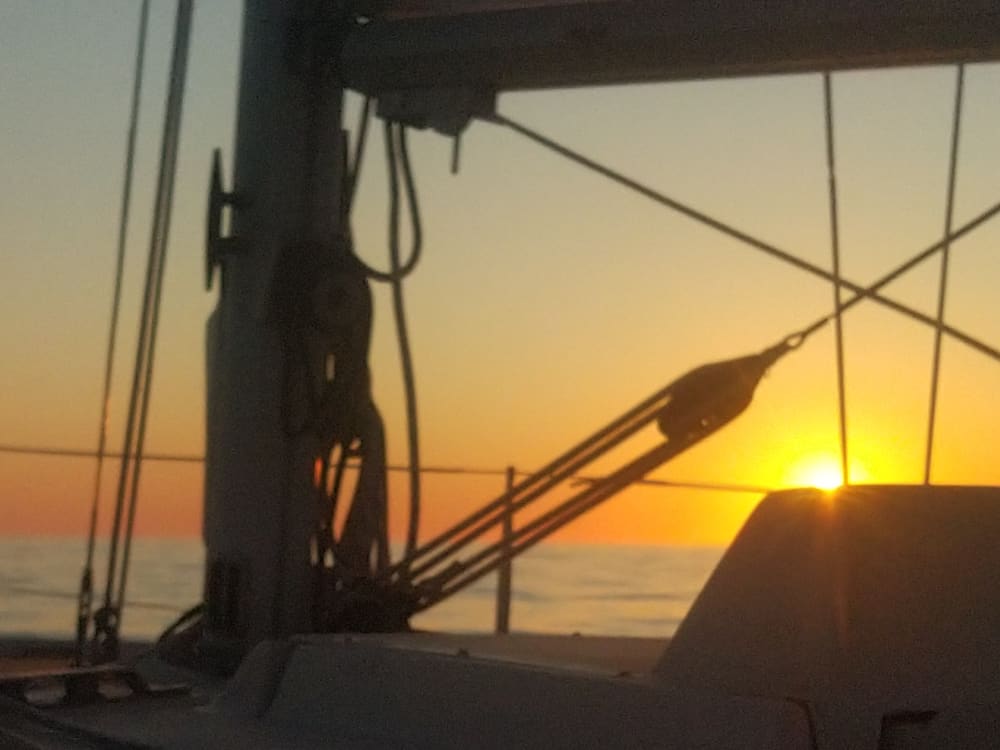 Up to You – The Freedom to Browse Your Way