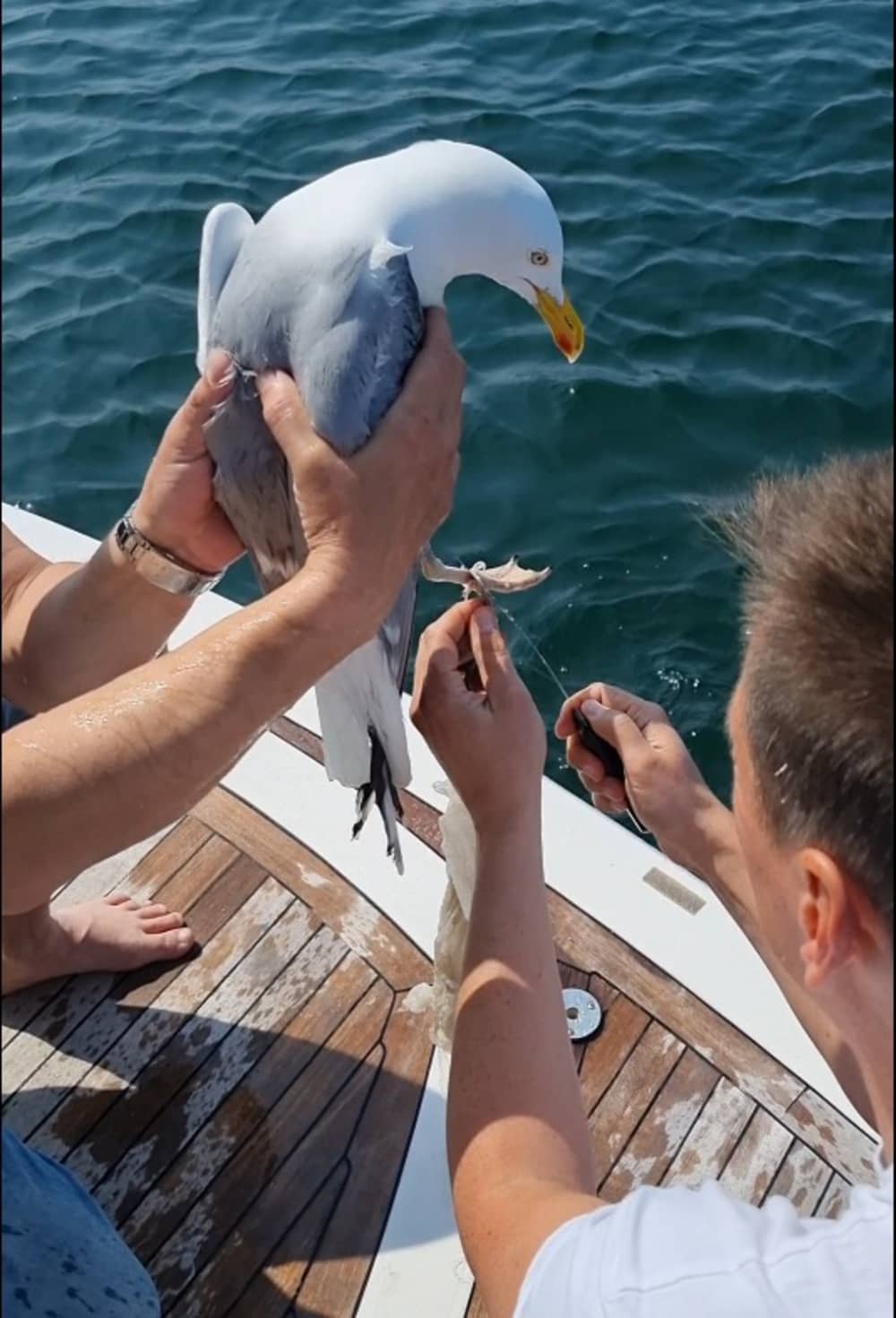 Ihr VIP-Ausflug nach Gdynia: Eine 4-stündige Fahrt mit einer Motoryacht