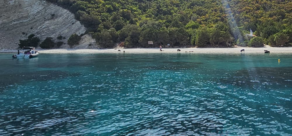 * Contemple la bahía de los cerdos en la isla de Atokos *